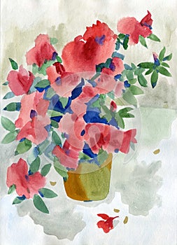 Watercolor painting summer red flowers