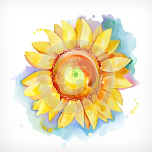 Watercolor painting sunflower