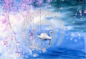 Watercolor Painting - Swan