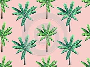 Watercolor painting tree ,banana leaves seamless pattern on pink background.Watercolor hand drawn illustration tropical exotic lea
