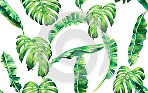 Watercolor painting tree banana,monstera leaves seamless pattern on white background.Watercolor hand drawn illustration tropical e
