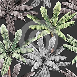 Watercolor painting tree colorful banana leaves seamless pattern on dark background.Watercolor hand drawn illustration tropical ex