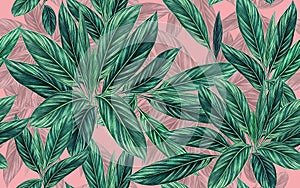 Watercolor painting tropical leave,coconut,palm leaf, seamless pattern on pink color background.Watercolor illustration tropical e