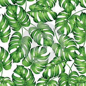 Watercolor painting tropical monstera,palm leaf,green leave seamless pattern background.Watercolor hand drawn illustration tropica