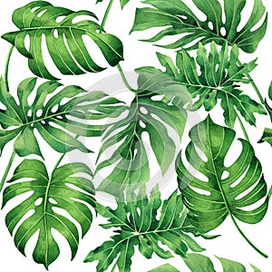 Watercolor painting tropical monstera,palm leaf,green leave seamless pattern background.Watercolor hand drawn illustration tropica