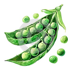 A watercolor painting vividly depicting a pea pod