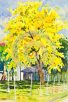 Watercolor painting yellow, orange color of golden shower tree flowers