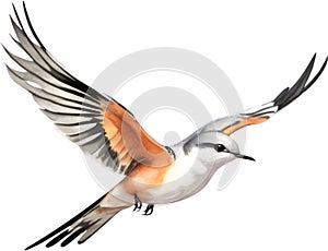 Watercolor paintings of colorful Scissor-tailed flycatcher birds. Ai-Generated.