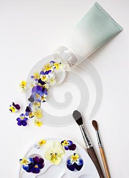 Watercolor palette with multi-colored flowers pansies, tube, art brushes on a white background