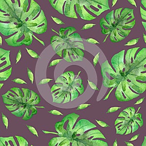 Watercolor palm leafs