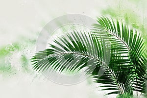 Watercolor Palm Leaves on white background