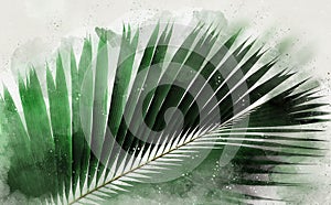 Watercolor Palm Leaves on white background