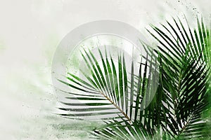 Watercolor Palm Leaves on white background