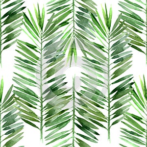 Watercolor palm tree leaf seamless