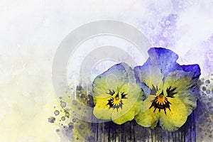 Watercolor pansies. Floral illustration of viola flowers on a vintage background. For design, print and fabric