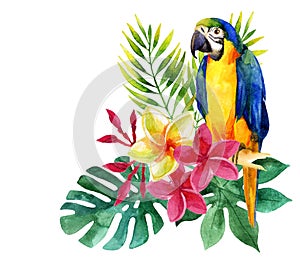 Watercolor parrot with exotic flowers and leaves