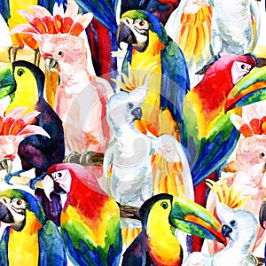 Watercolor parrots seamless pattern