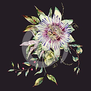 Watercolor Passiflora greeting card, flowers, leaves. Vintage floral natural collection