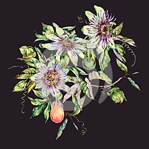 Watercolor Passiflora greeting card, flowers, leaves. Vintage floral natural collection