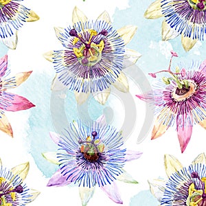 Watercolor passion flower pattern