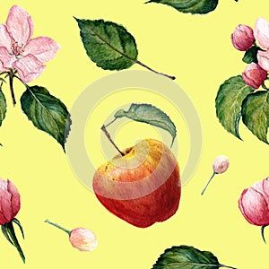 Watercolor pattern: Apple, apple blossom ang leaves