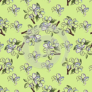 Watercolor pattern of Apple branches on a light green background.