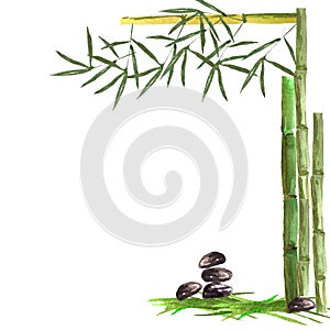 Watercolor pattern with bamboo branches, castings and stones on a white background. For design of cards, business cards,