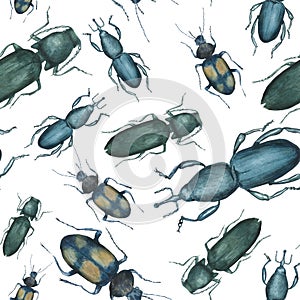 Watercolor pattern with beetles Elateridae, Curculionidae and Harpalinae photo