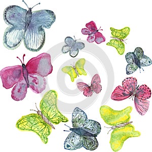 Watercolor pattern of bright colored butterflies isolated on a white background