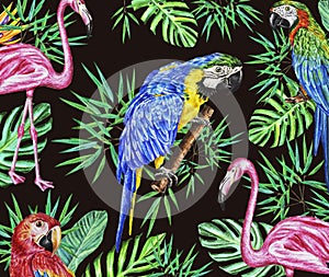 Watercolor pattern on a dark background with macaw parrots, pink flamingo, jungle leaves. The idea of design, textiles, and more.
