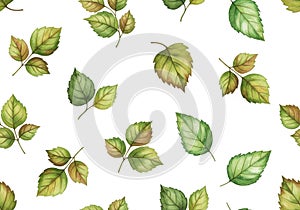 Watercolor pattern featuring various green leaves against a white