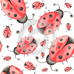 Watercolor pattern of insects, ladybugs, bedbugs, beetles with leaves on a white background.