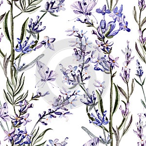 Watercolor pattern with lavender flowers