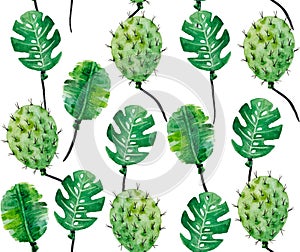 Watercolor pattern of monstera leaves and cacti