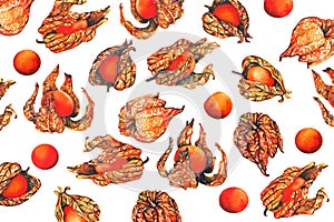 Watercolor pattern of physalis fruit berry