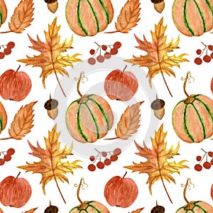 Watercolor pattern, pumpkins, berries, acorn, apple and leaves on a white background. For thanksgiving, wrapping etc.