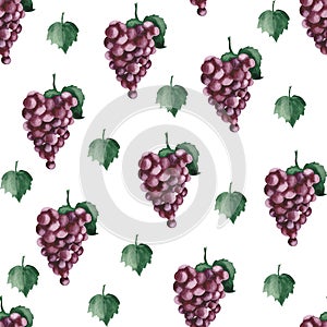 Watercolor pattern with purple grapes and grape leaves.