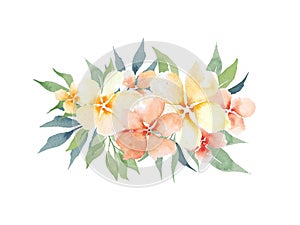 Watercolor peach gentle simple flowers