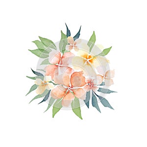 Watercolor peach gentle simple flowers