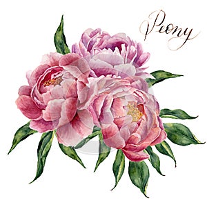Watercolor peonies bouquet isolated on white background. Hand painted pink peony flowers and green leaves. Floral illustration for