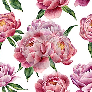 Watercolor peonies and leaves seamless pattern on white background. Floral texture for design, textile and background.