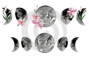 Watercolor phases of the moon decorated with pink lilies, female moon