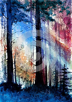 Watercolor picture of a beautiful sunlit forest