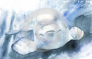 Watercolor picture. beluga. Delphinapterus leucas