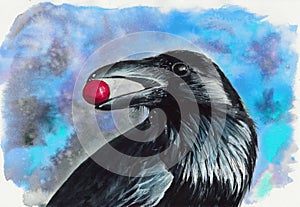 Watercolor picture of a black raven with red berry in its beak