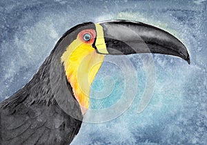 Watercolor picture of the colorful toucan bird with the big beak