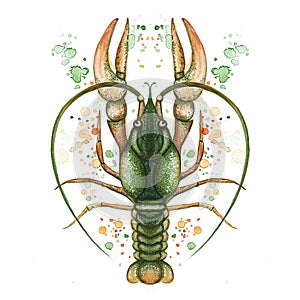 Watercolor picture of crustacean, cancer, lobster, zodiac sign, river cancer, detailed illustration, macro, spray, green, print on