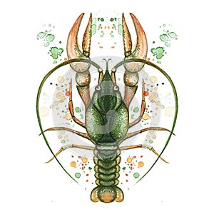 Watercolor picture of crustacean, cancer, lobster, zodiac sign, river cancer, detailed illustration, macro, spray, green, print on photo