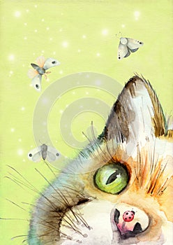 Watercolor picture of a fluffy yellow catÃ¢â¬â¢s face with a vivid green eye on a pale green background photo