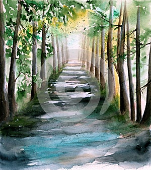 Watercolor picture of a sunlit forest alley